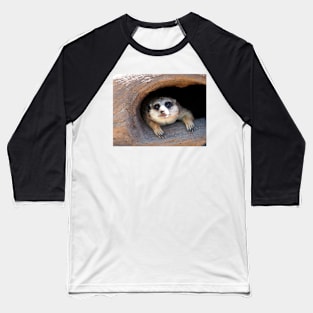 Meerkat posing from a Tree Stump Baseball T-Shirt